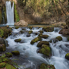 photo "Banias. Waiting for rain"