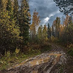 фото "Распутица"