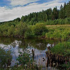 фото "Летняя"