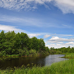 фото "У реки"