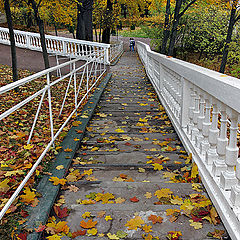 фото "Лестница в осень"