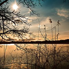 photo "Maisinger See/Bavaria"