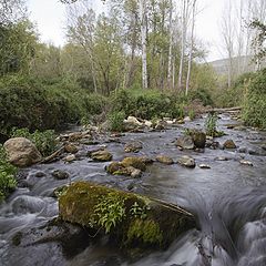 фото "речка"