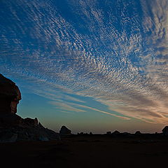 photo "White desert"