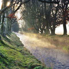 photo "Morning creek"