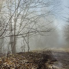 фото "Весенний туман"