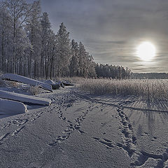 фото "Письмена зимы"