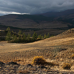 фото "Алтайские зарисовки"