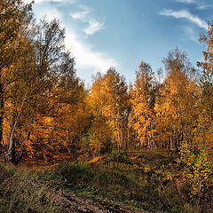 фото "Чудная осень"