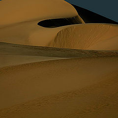 photo "Dunes 26"