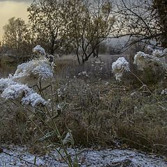 фото "Осенние зарисовки."