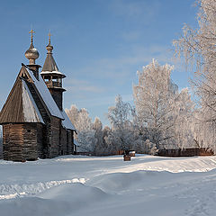 фото "Красавица зима"