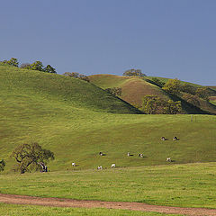 photo "Pastoral"