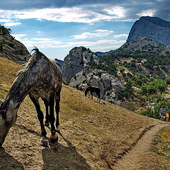 фото "Крым 2012"