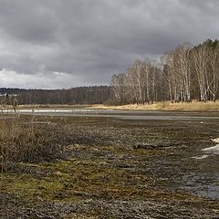 фото "март"