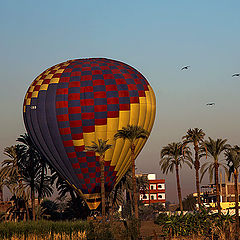 photo "Wrong landing"