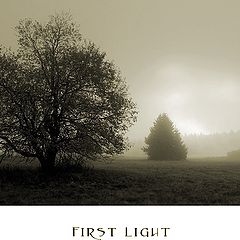 фото "first light"