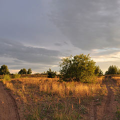 фото "Распутье"