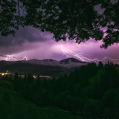 фото "Карпатское лето / Carpathian summer"