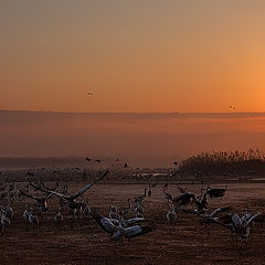 фото "Зарядка"