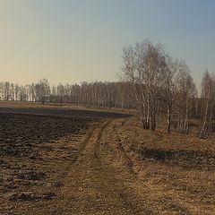 фото "Пробуждение"