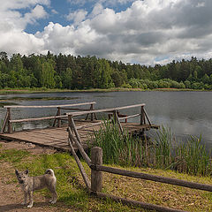 photo "Landscape with a a traveling companion"