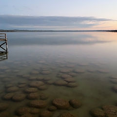 photo "Lake Clifton. Thrombolites"