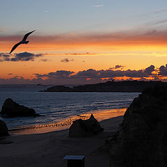 photo "Sunset at La Rocha"