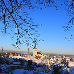 фото "Tallinn old town"