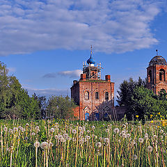 фото "Время одуванчиков"