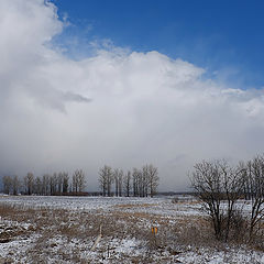 фото "занавес"