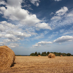 фото "Полет облаков"