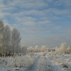 photo "Winter - goodbye!"