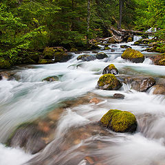 фото "Большая вода"