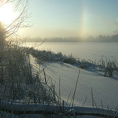 photo "Nostalgia for the winter."