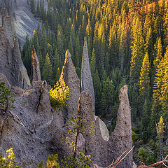 photo "A marvel of nature at the end of the day"