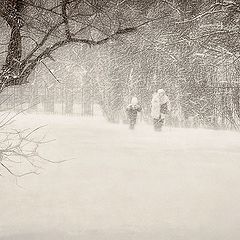 photo "Snowstorm"