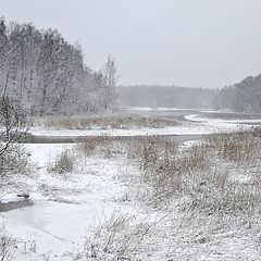 фото "Апрель в белом."