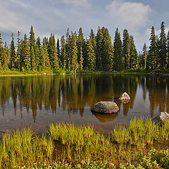 photo "In the evening, after a rain"