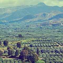 photo "Messara Plain. Crete."