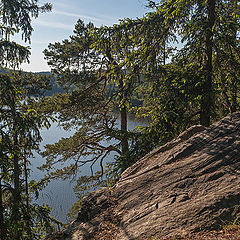 photo "Forest Lake"