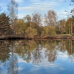 photo "Spring at water"