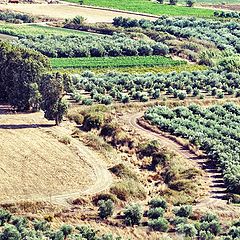 фото "Messara Plain. Crete."