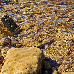 photo "low tide"