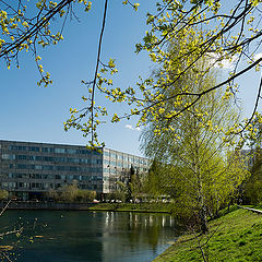 фото "Весна в городе"