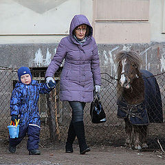 фото "Мама , кто это? Кто, кто...конь в пальто"