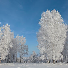 фото "Зимняя сказка..."