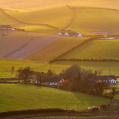 фото "Irish Sheepland"