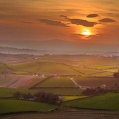 photo "Evening Irish Fields"