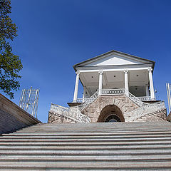 photo "Ladder. Kameronova gallery."